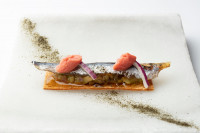 platos 04.jpg